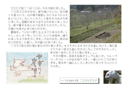 　２００２年１１月１０日、やぎが死にました。
　１０月２２日の夕方、首が傾いていて、目が遠くを見ていて、口の端が微笑んでいるように上をむいていて、もしかしたら、と思わせるものがありました。翌朝にはもう立ち上がれなくなっていて、熱が奪われないよう毛布をかけてやったら、不覚にも涙が止まらないのです。
　闘病中、ついに二度と立上ることはできず、しかし、少しよくなっている、という兆候は、確かにあったような気がします。９日の夕方、明日はもうだめだ、と思い、その通りになりました。
　１９９３年６月に家に来たのだと思います。もうそのときすでに子を産んでいて、家に来てからも一回子を産んだのでした。このやぎにとって、幸せな一生だったろうと思います。。。
　やぎの墓は、南向き斜面のてっぺん近くの、ブルーベリーやプルーンの林を見下ろす、一番いいところにあります。思わず一緒に入ってしまいたくなりそういいところです。
